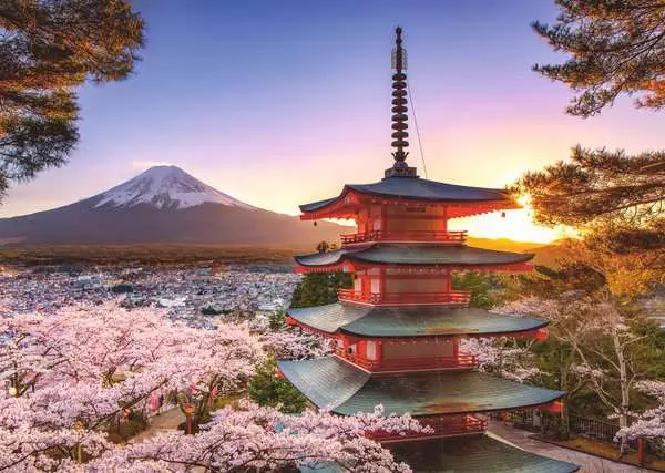 1000pc Mount Fuji Cherry Blossom View Puzzle - Image 2