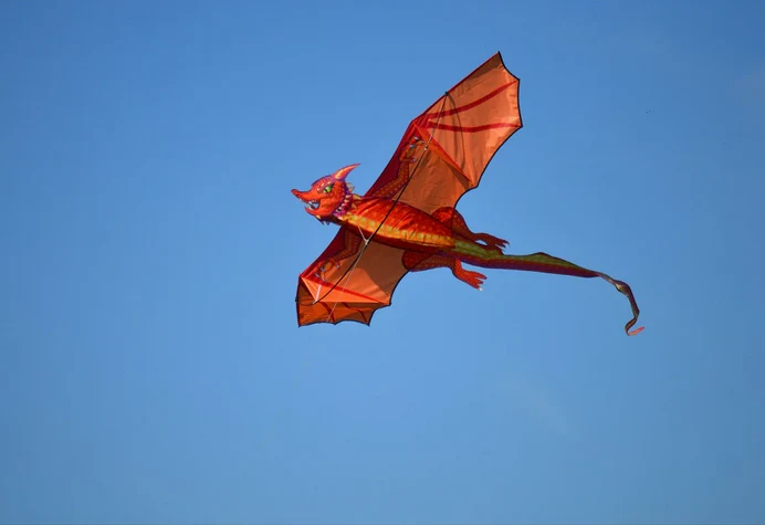 3D Kite | Emberscale Dragon - Image 2