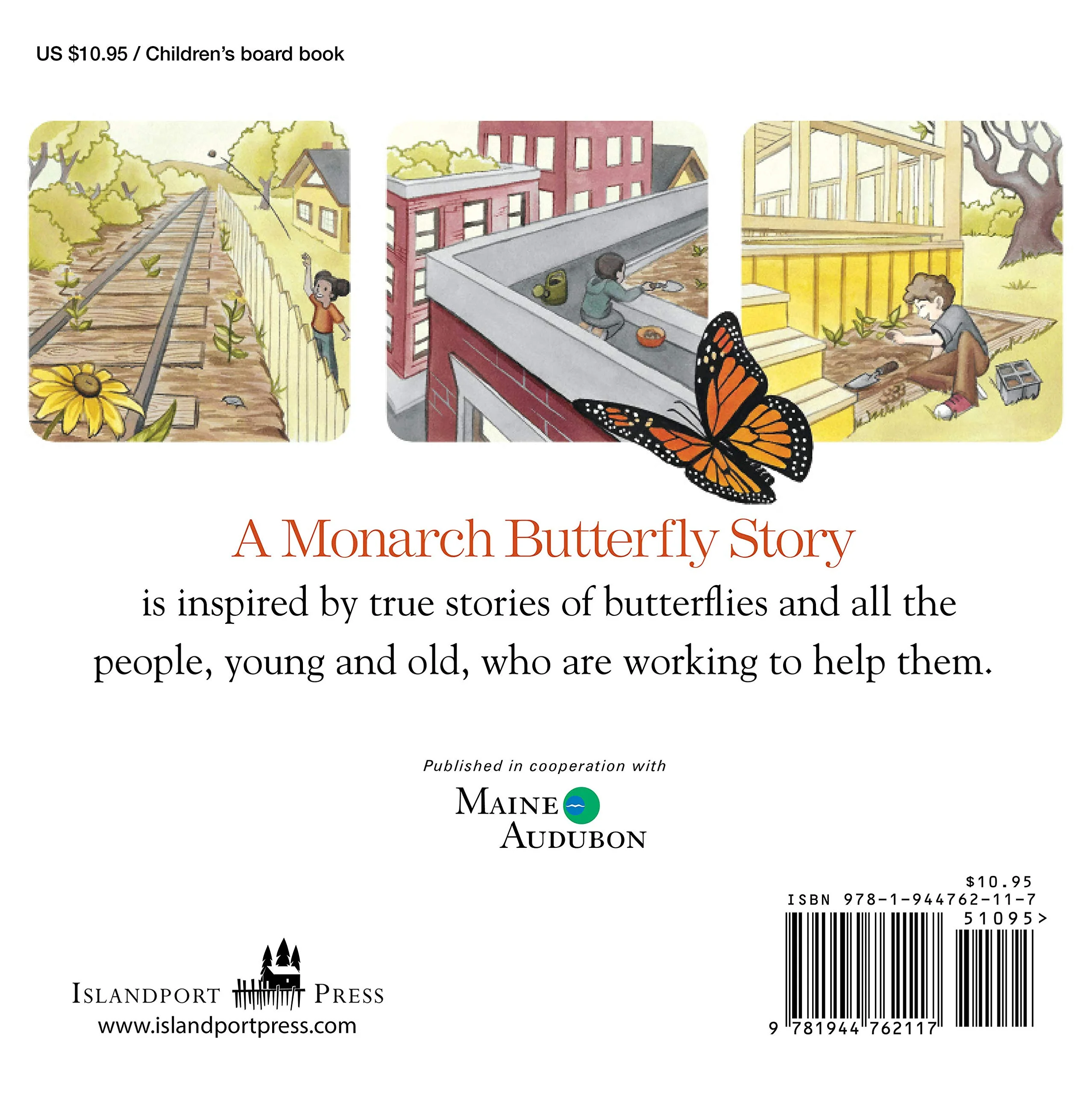 A Monarch Butterfly Story - Image 2