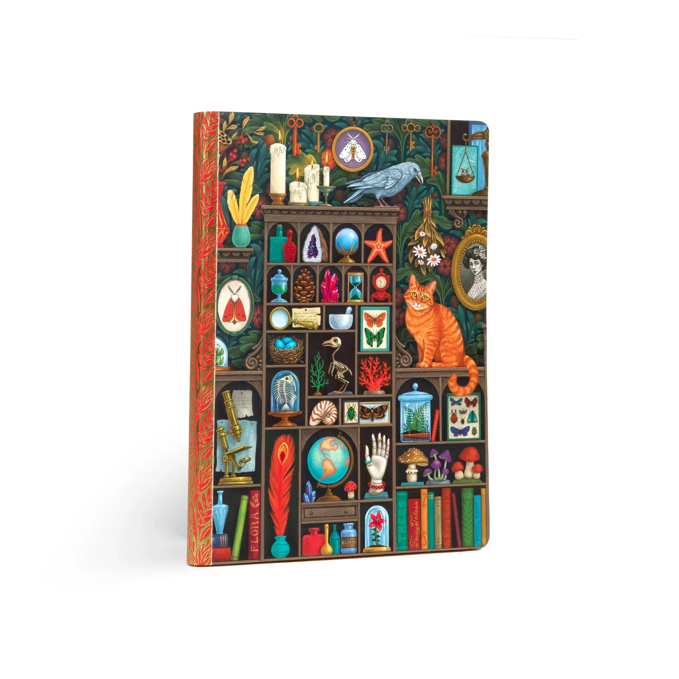 Alchemist's Cabinet Journal