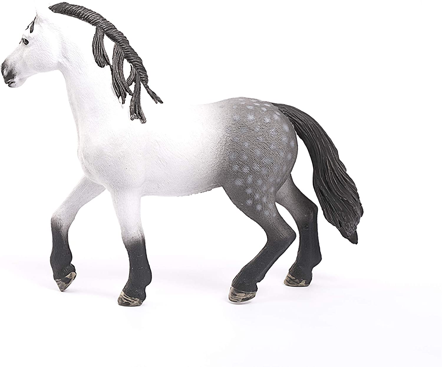 Andalusion Horse Stallion - Image 3