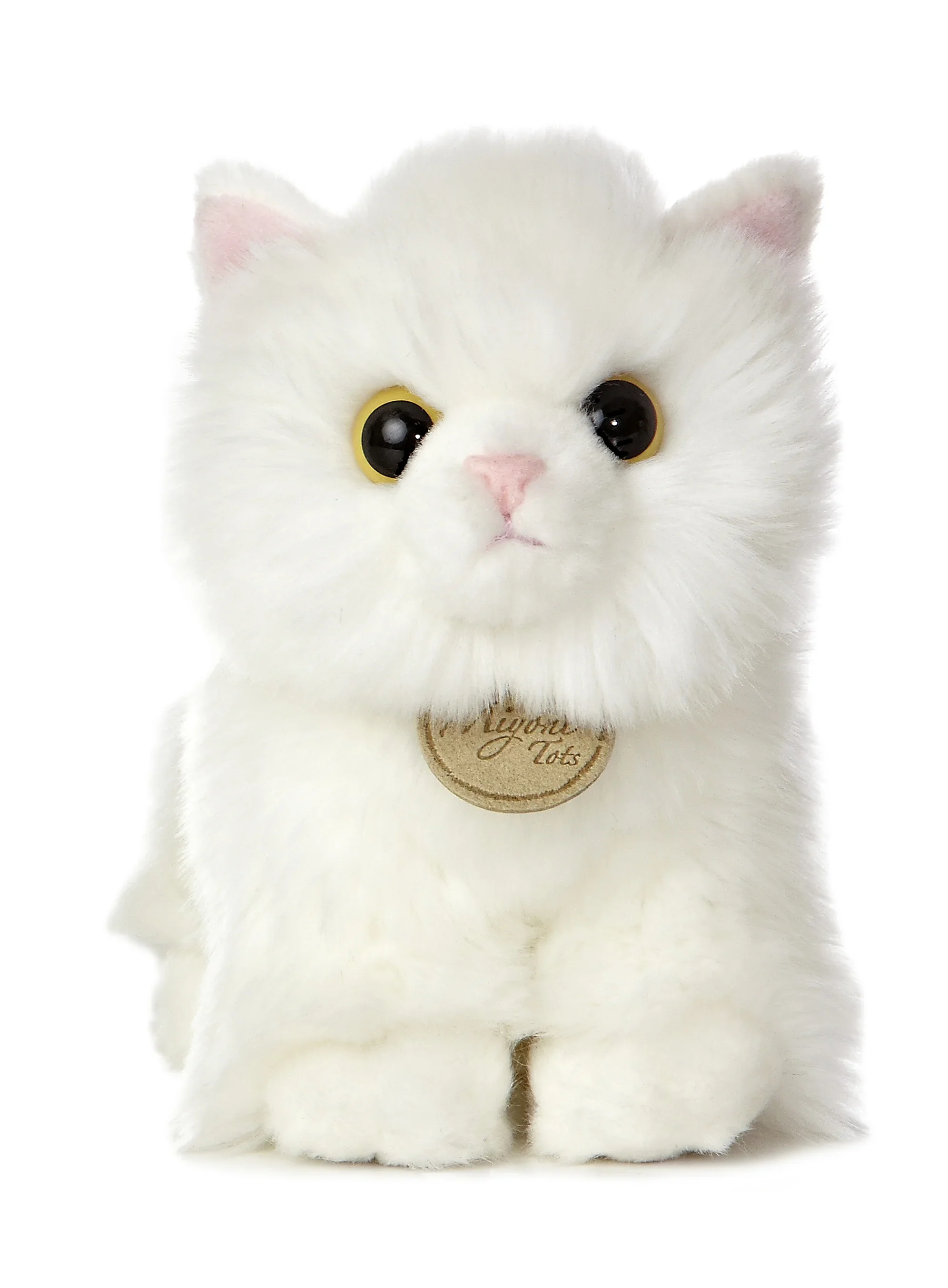 Angora Kitten