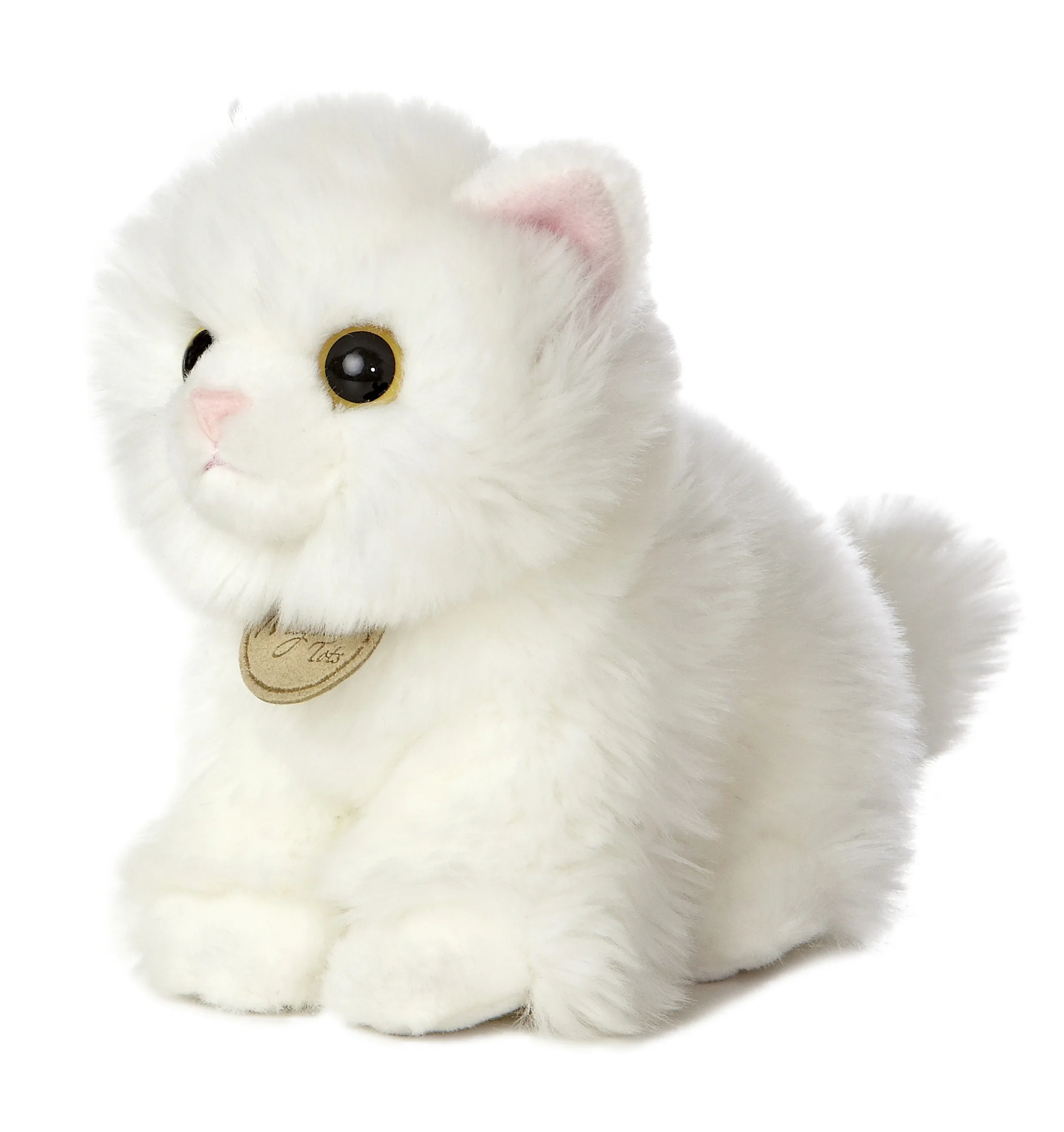 Angora Kitten - Image 2