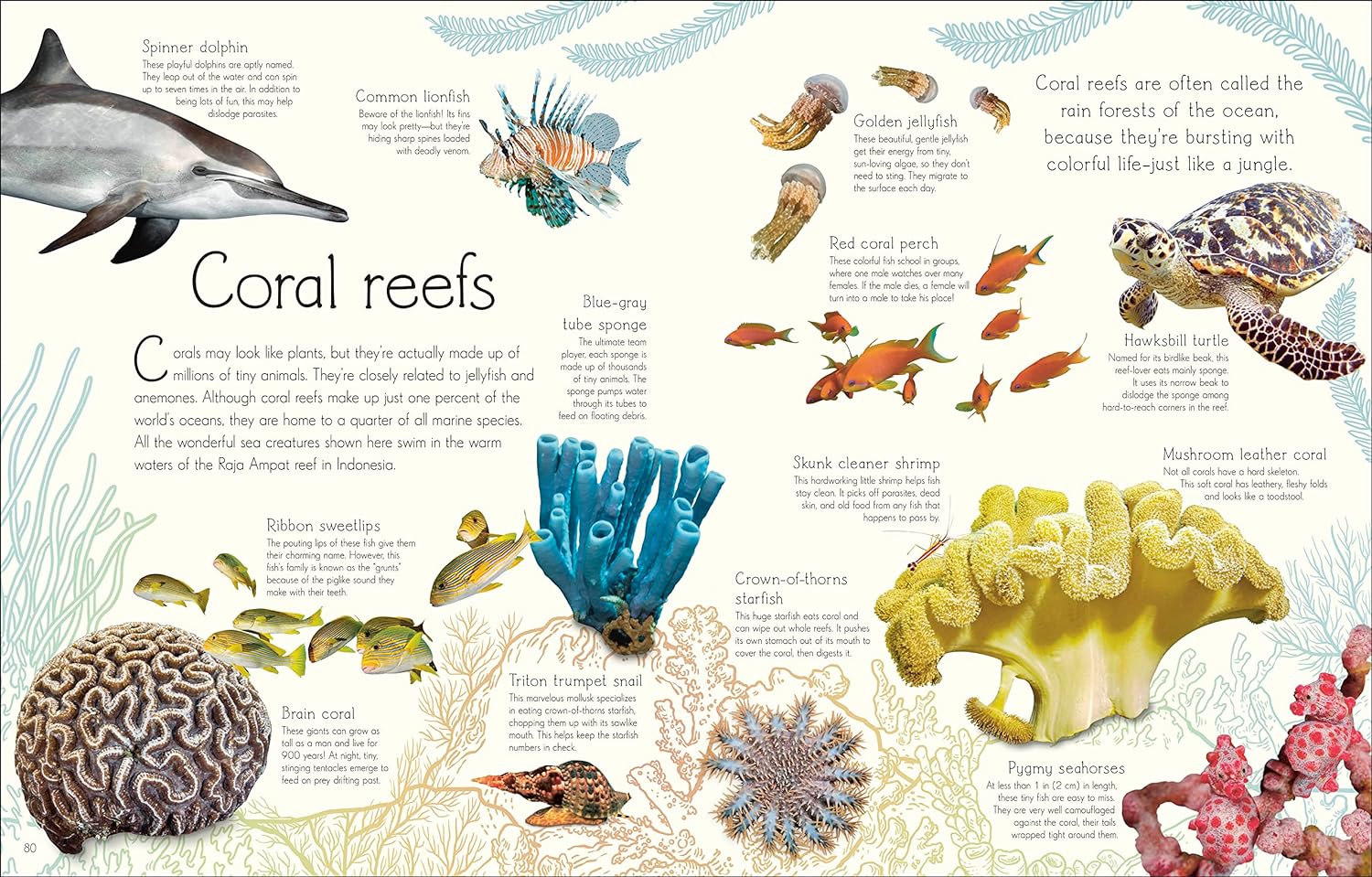 Anthology of Aquatic Life - Image 3