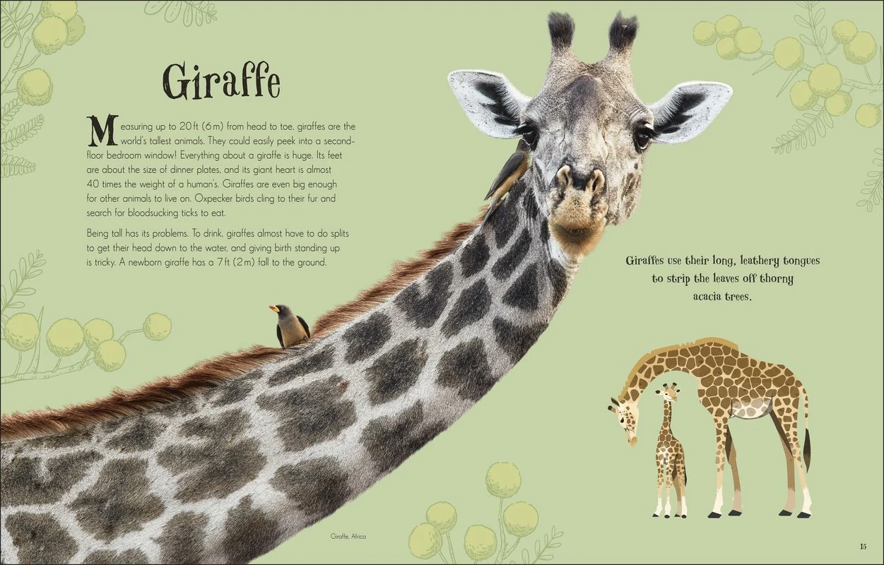 Anthology of Intriguing Animals - Image 5