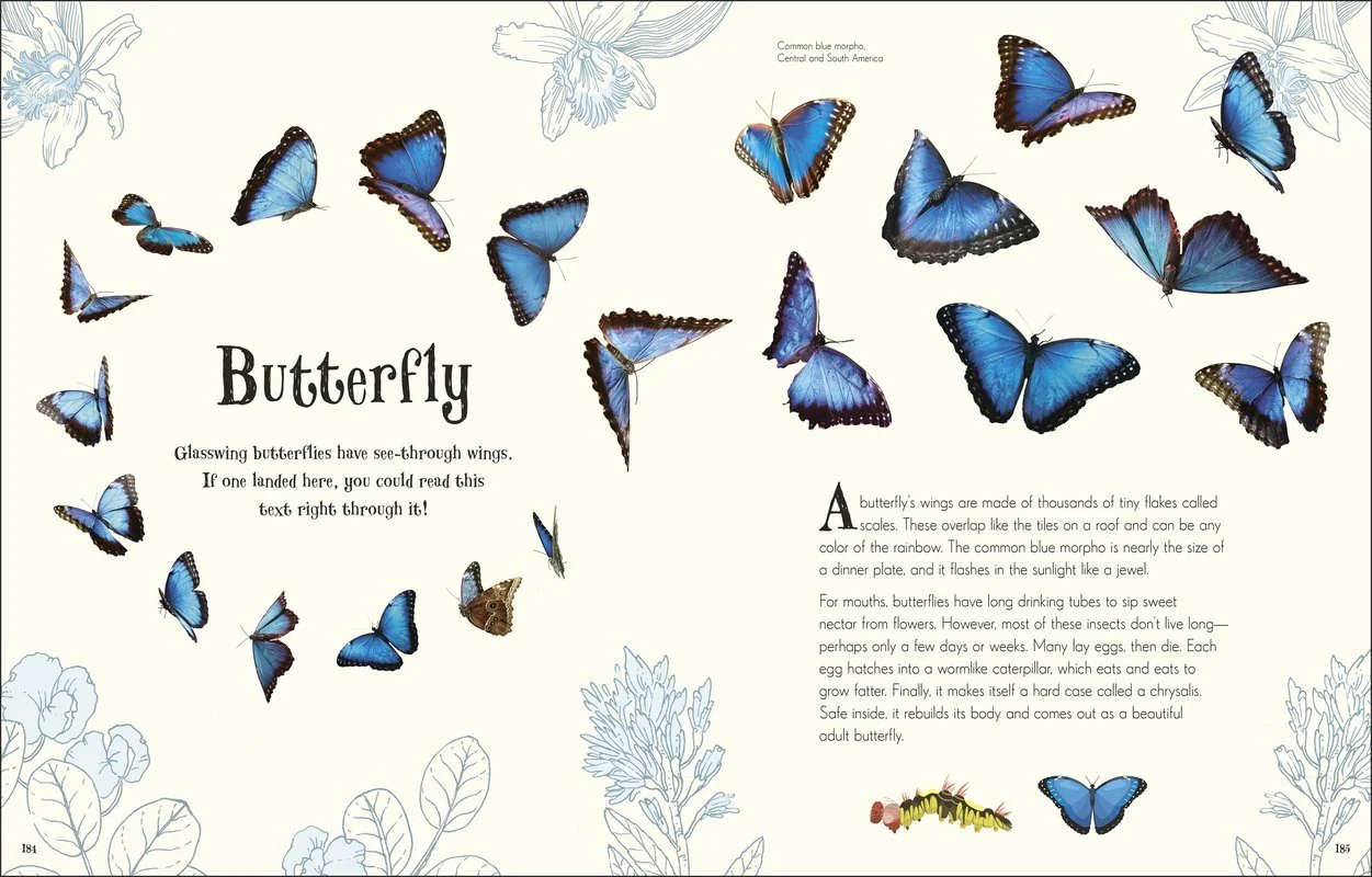 Anthology of Intriguing Animals - Image 6