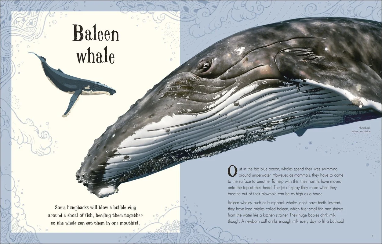 Anthology of Intriguing Animals - Image 7