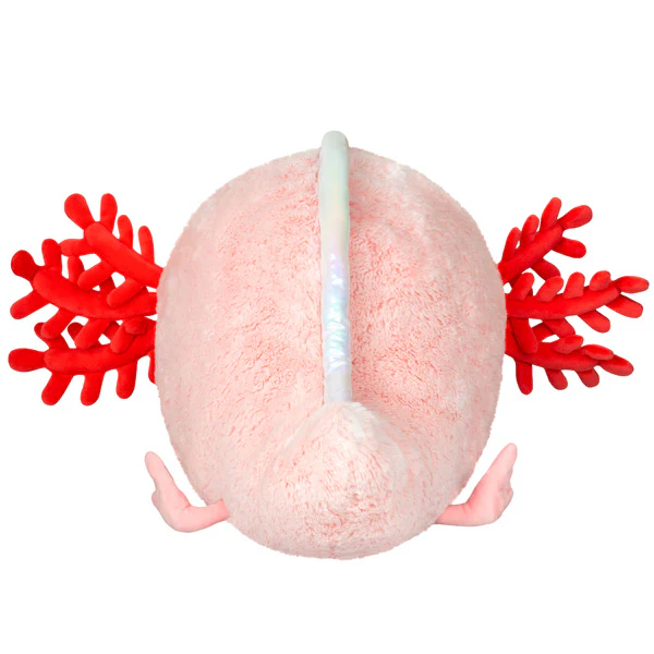 Baby Axolotl - Image 3