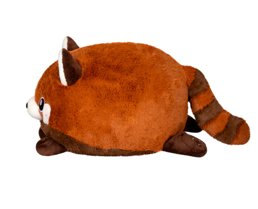 Baby Red Panda - Image 3