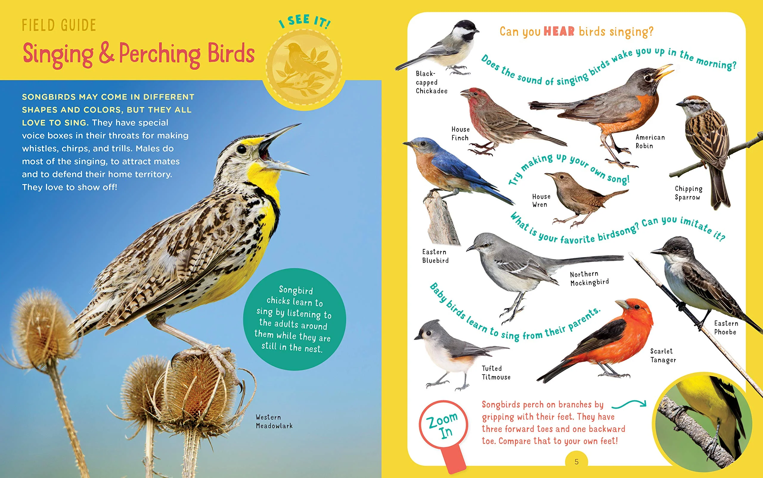Backpack Explorer: Bird Watch - Image 3