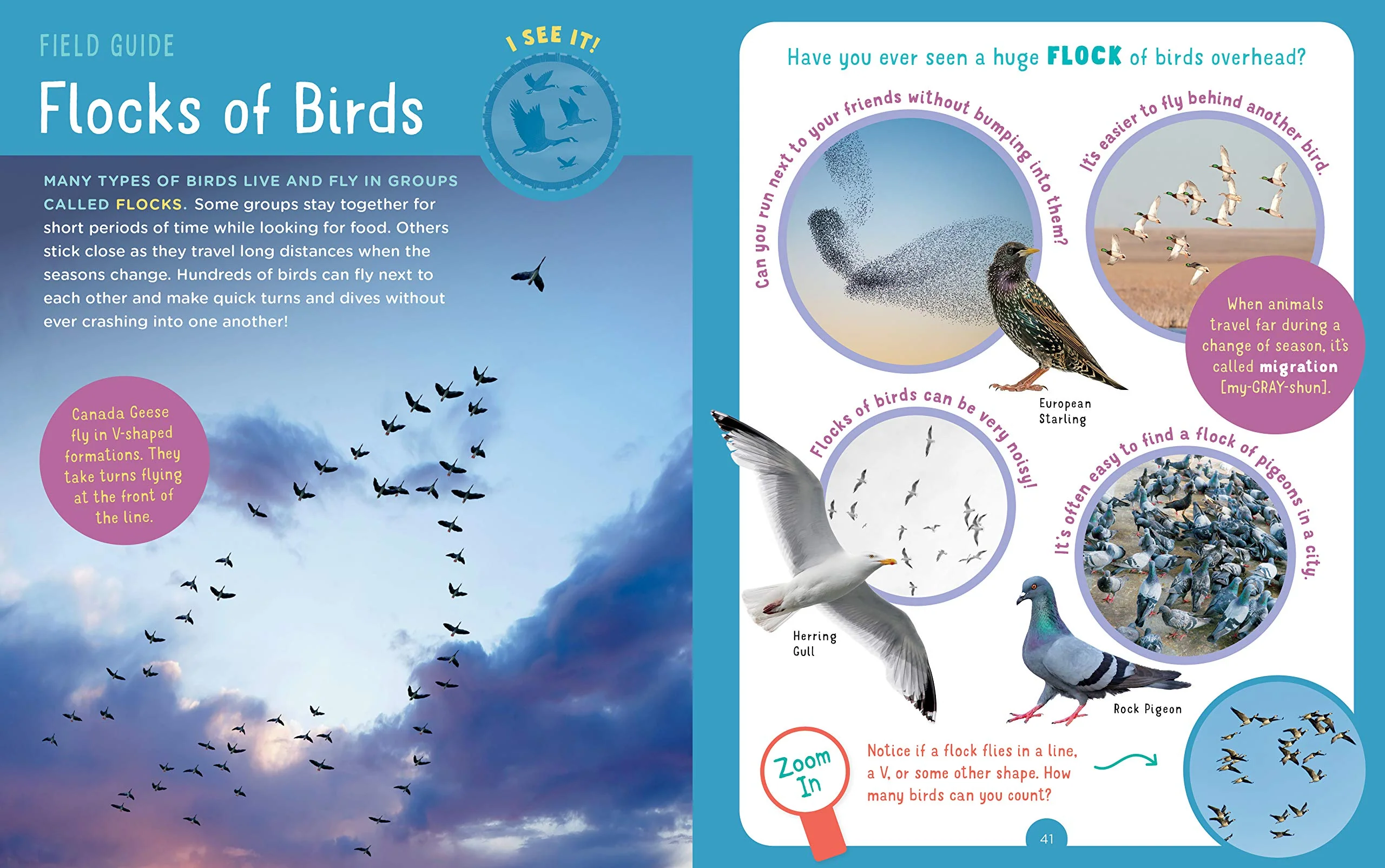 Backpack Explorer: Bird Watch - Image 4