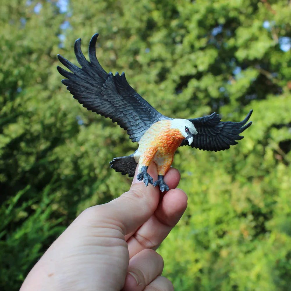 Bearded Vulture - Image 2