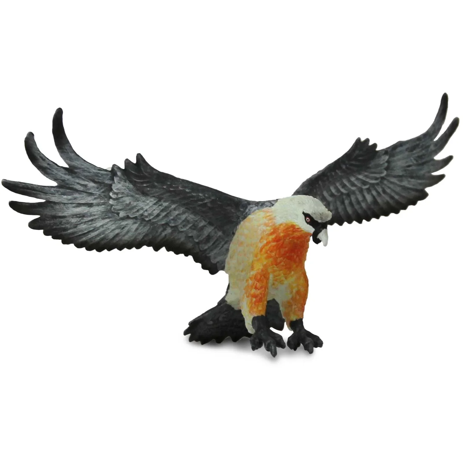 Bearded Vulture - Image 4