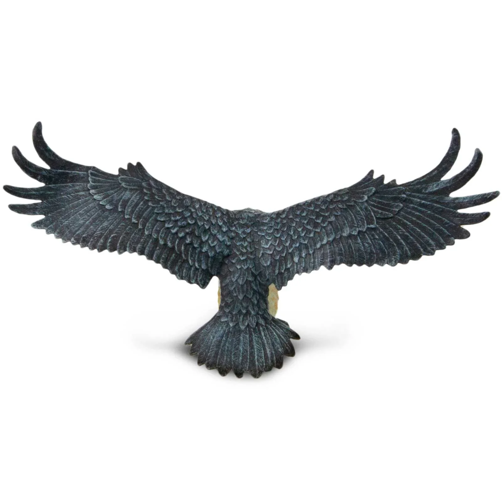 Bearded Vulture - Image 5