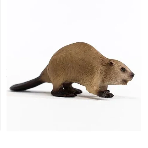 Beaver - Image 2