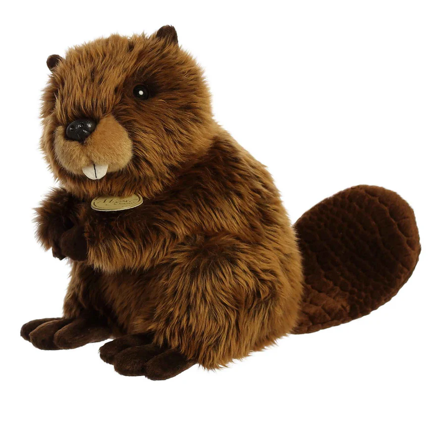 Beaver - Image 5