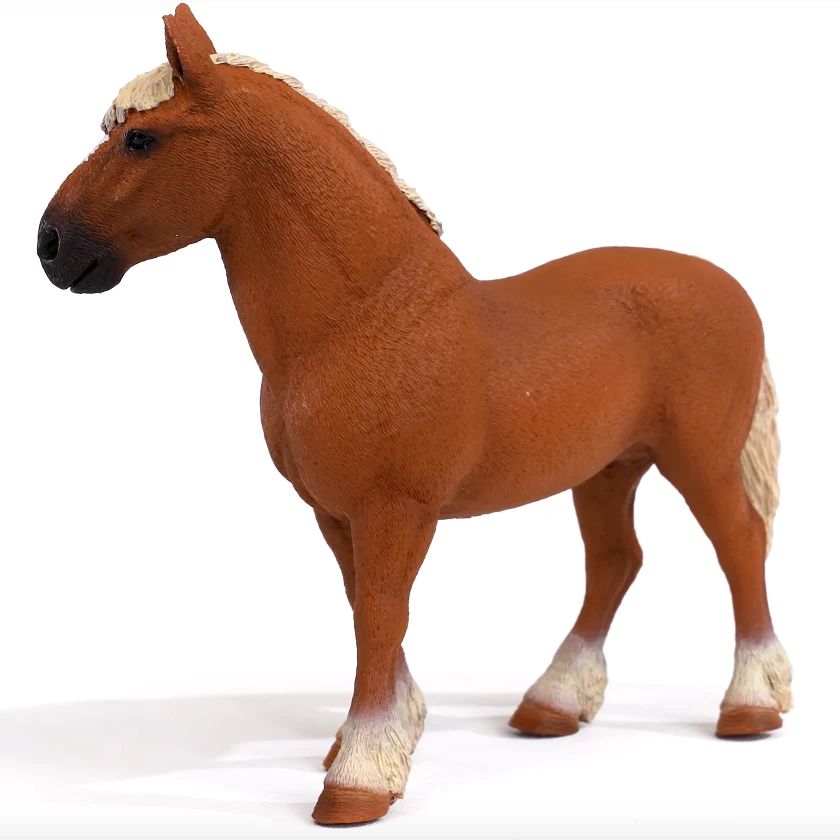 Belgian Draft Horse - Image 2