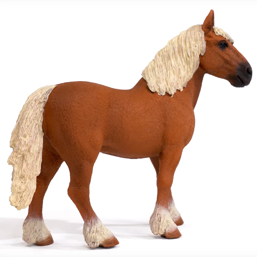 Belgian Draft Horse - Image 4