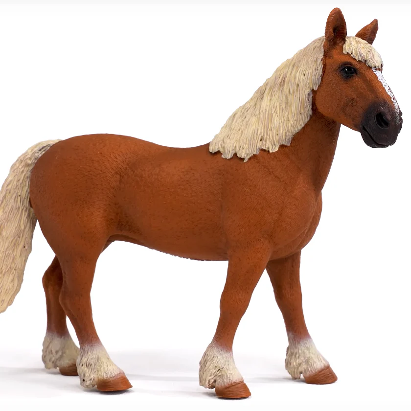 Belgian Draft Horse - Image 5