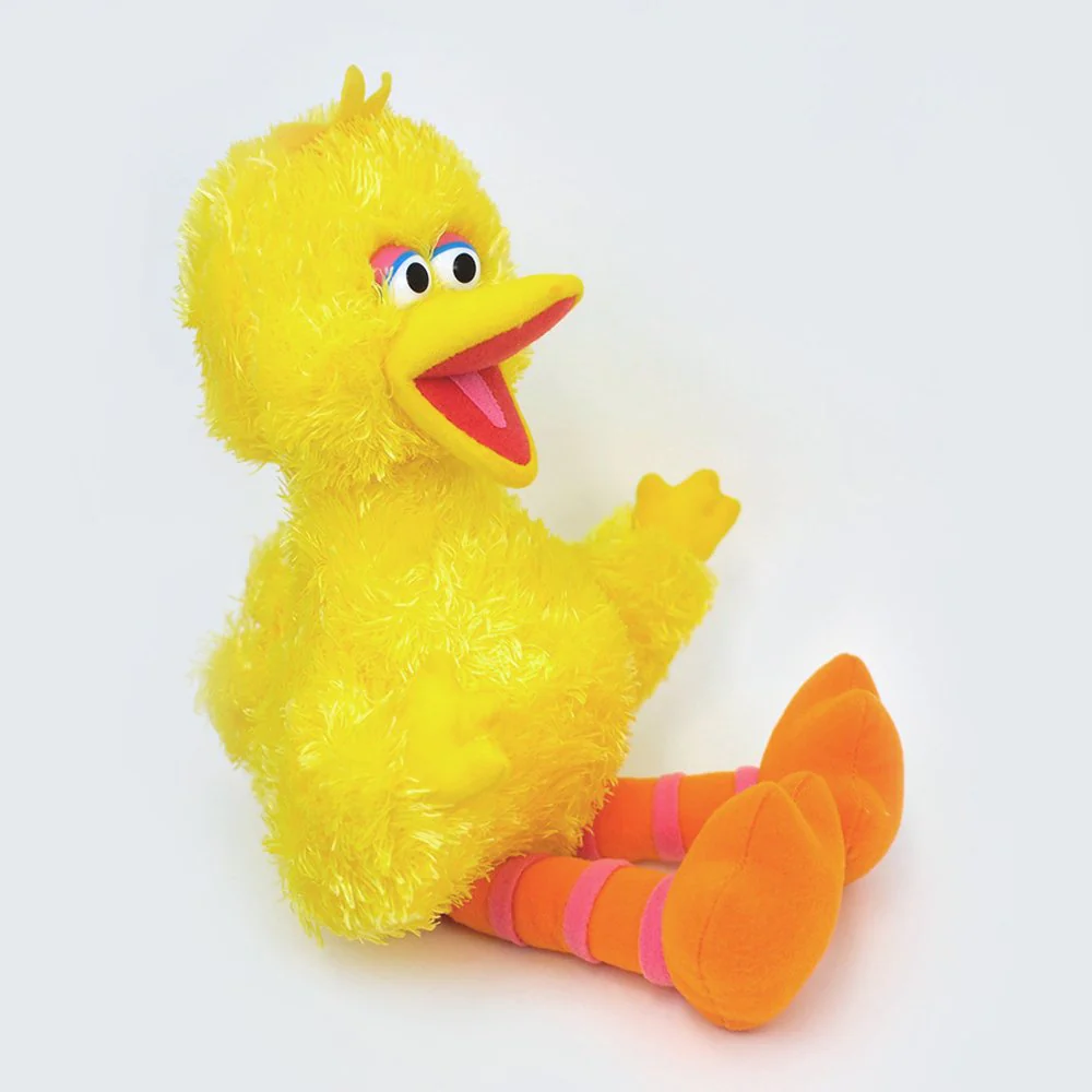 Big Bird - Image 5