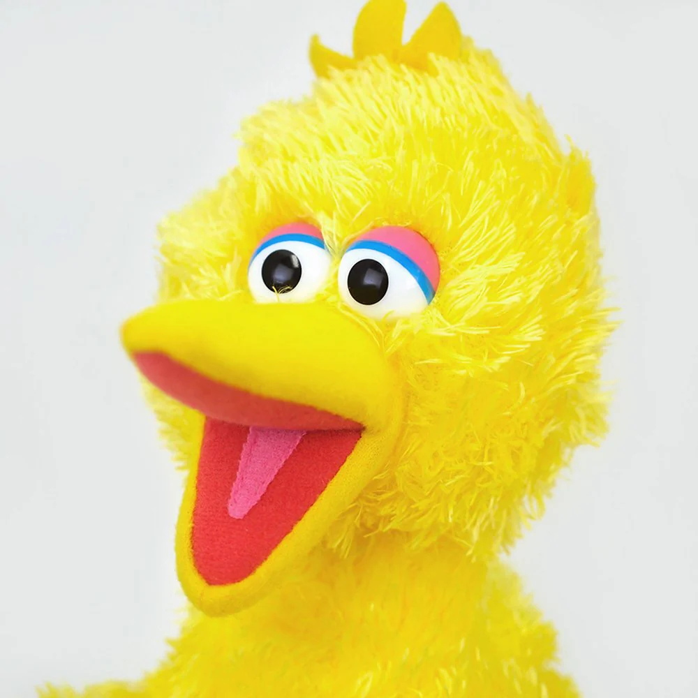 Big Bird - Image 6
