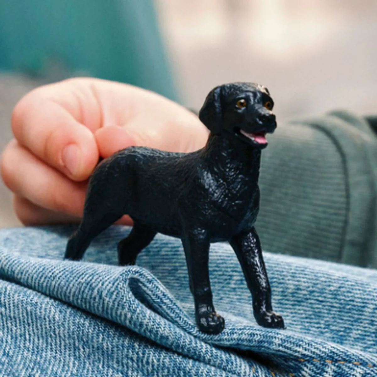 Black Labrador Retriever Female - Image 2