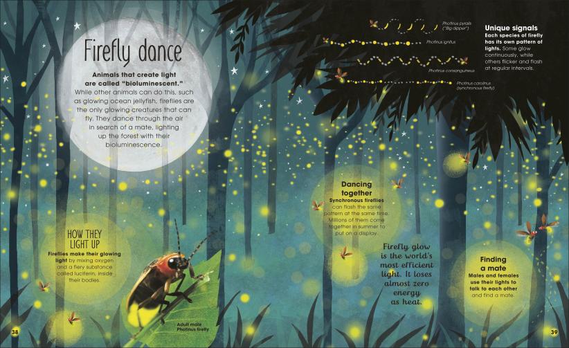 Brilliant Book of Bugs - Image 2