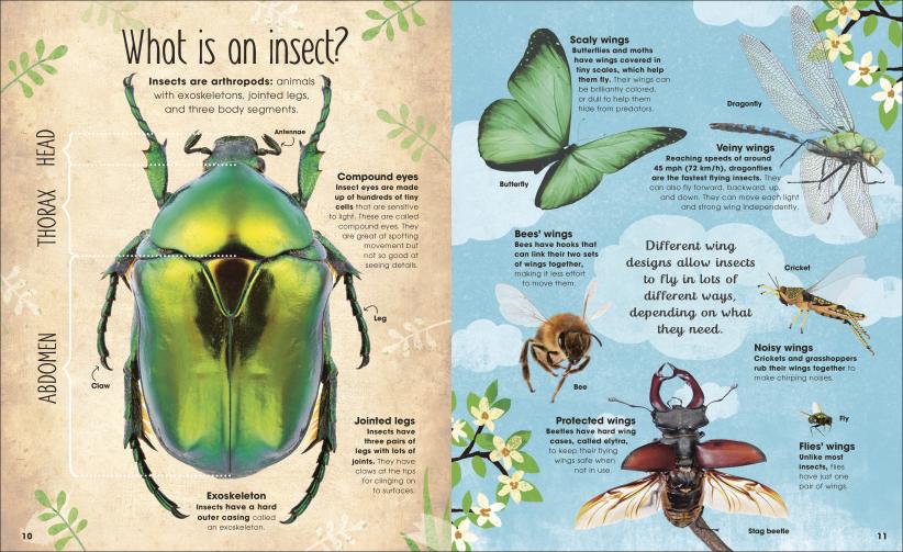 Brilliant Book of Bugs - Image 5