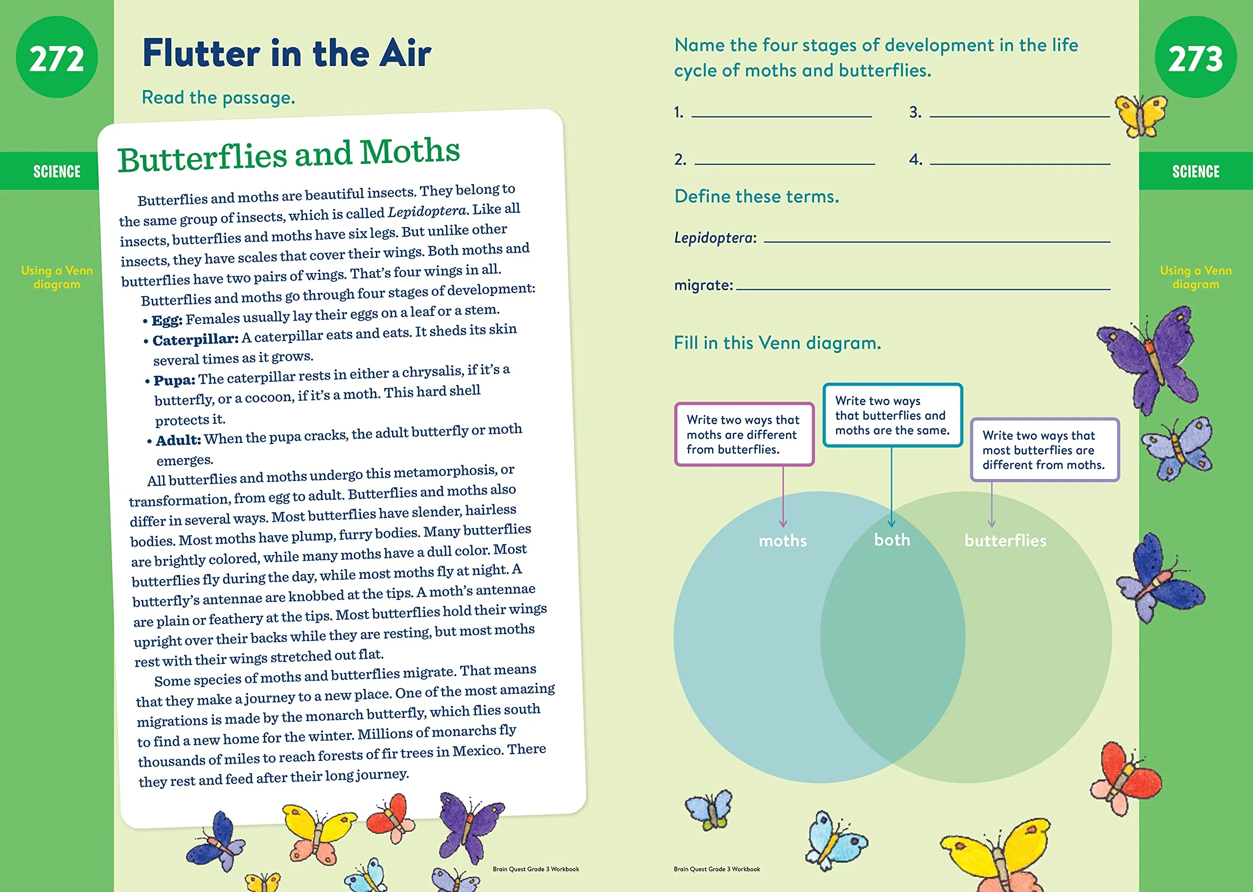 Brain Quest Workbook Grade 3 - Image 5
