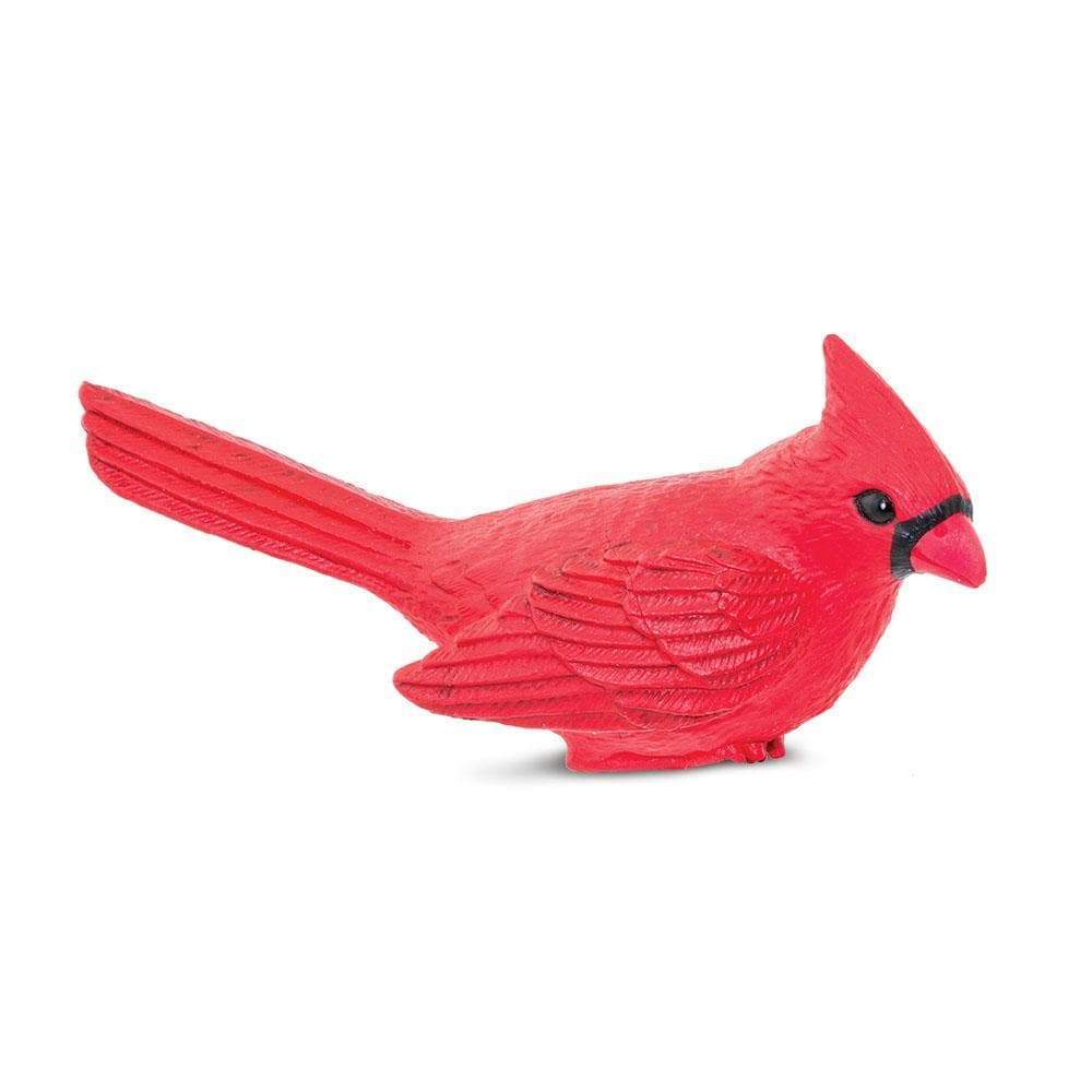 Cardinal