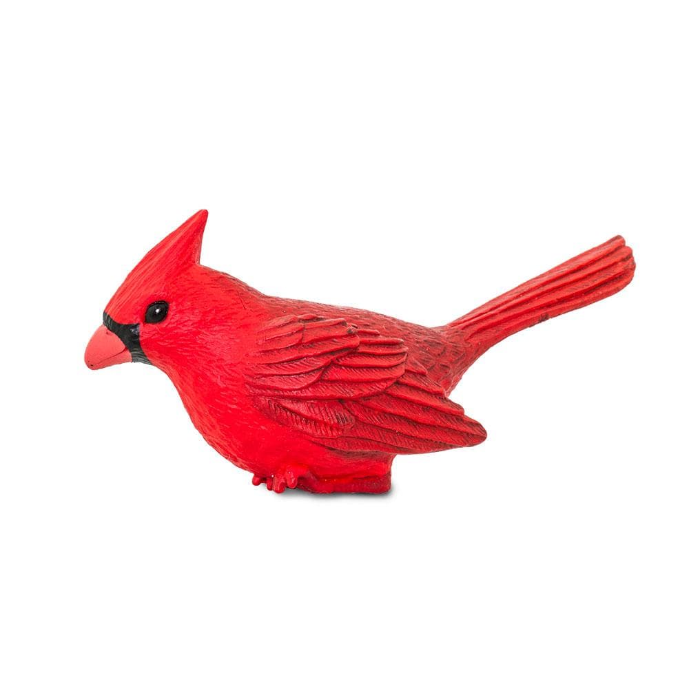 Cardinal - Image 2