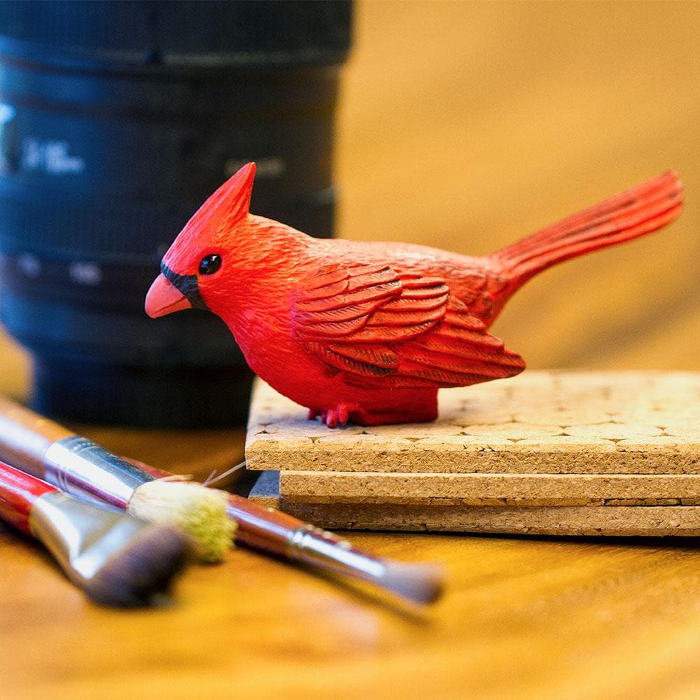Cardinal - Image 4