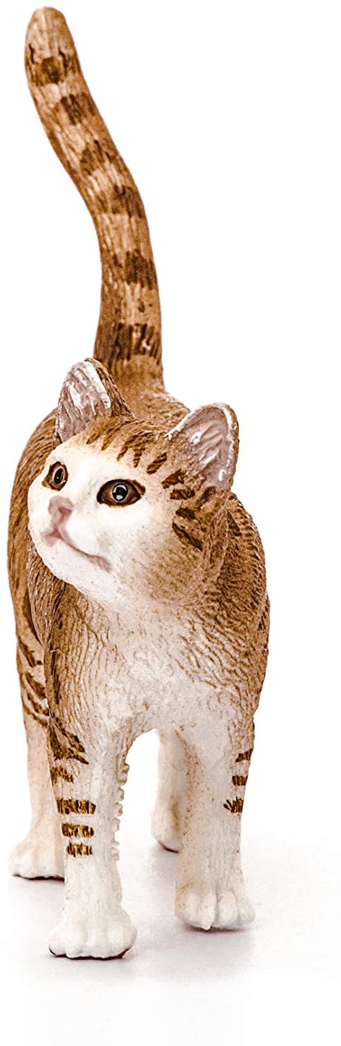 Cat Orange - Image 2