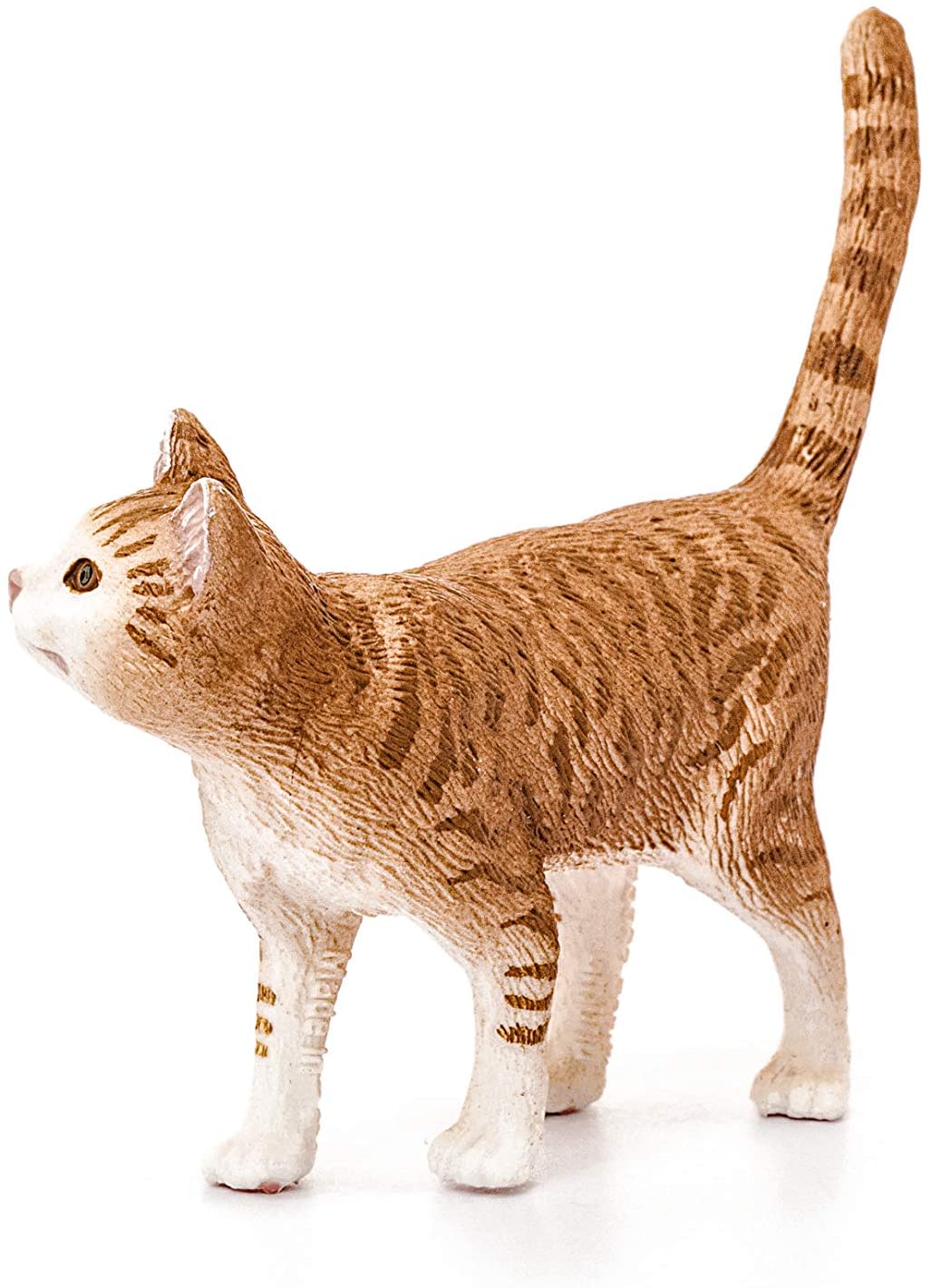 Cat Orange - Image 3