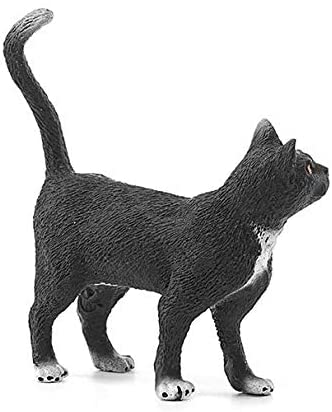 Cat Standing - Image 3