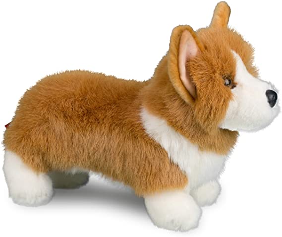 Corgi Louie - Image 3