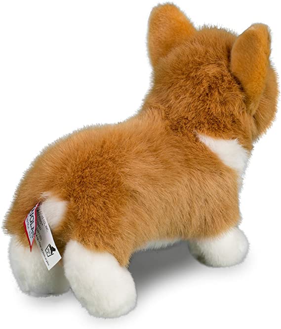 Corgi Louie - Image 4