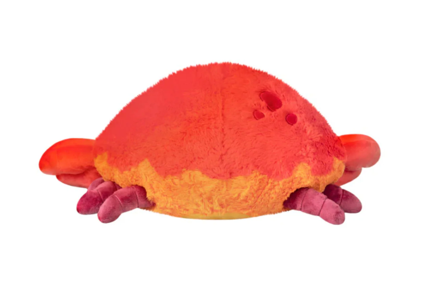 Crab - Image 3