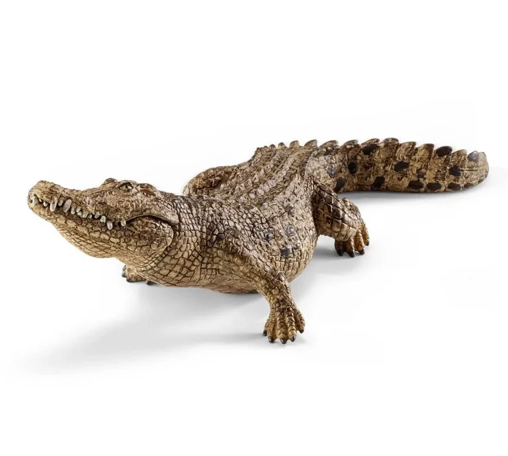 Crocodile - Image 2