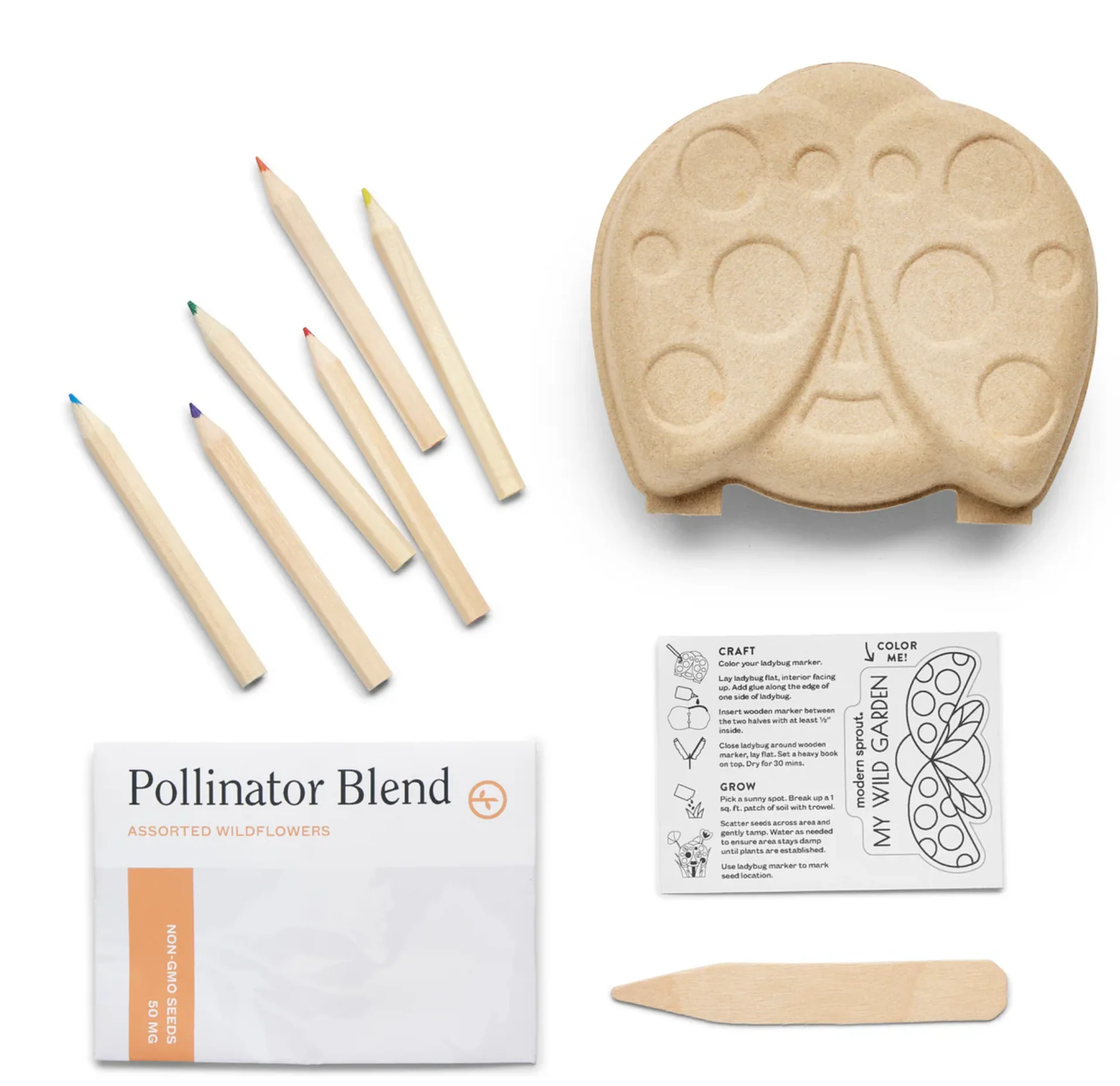 Curious Critters Ladybug Activity Kit - Image 3