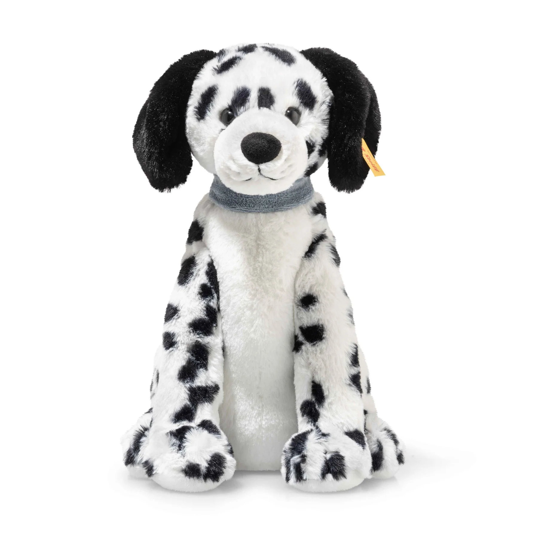 Dalmation Oskar Sitting