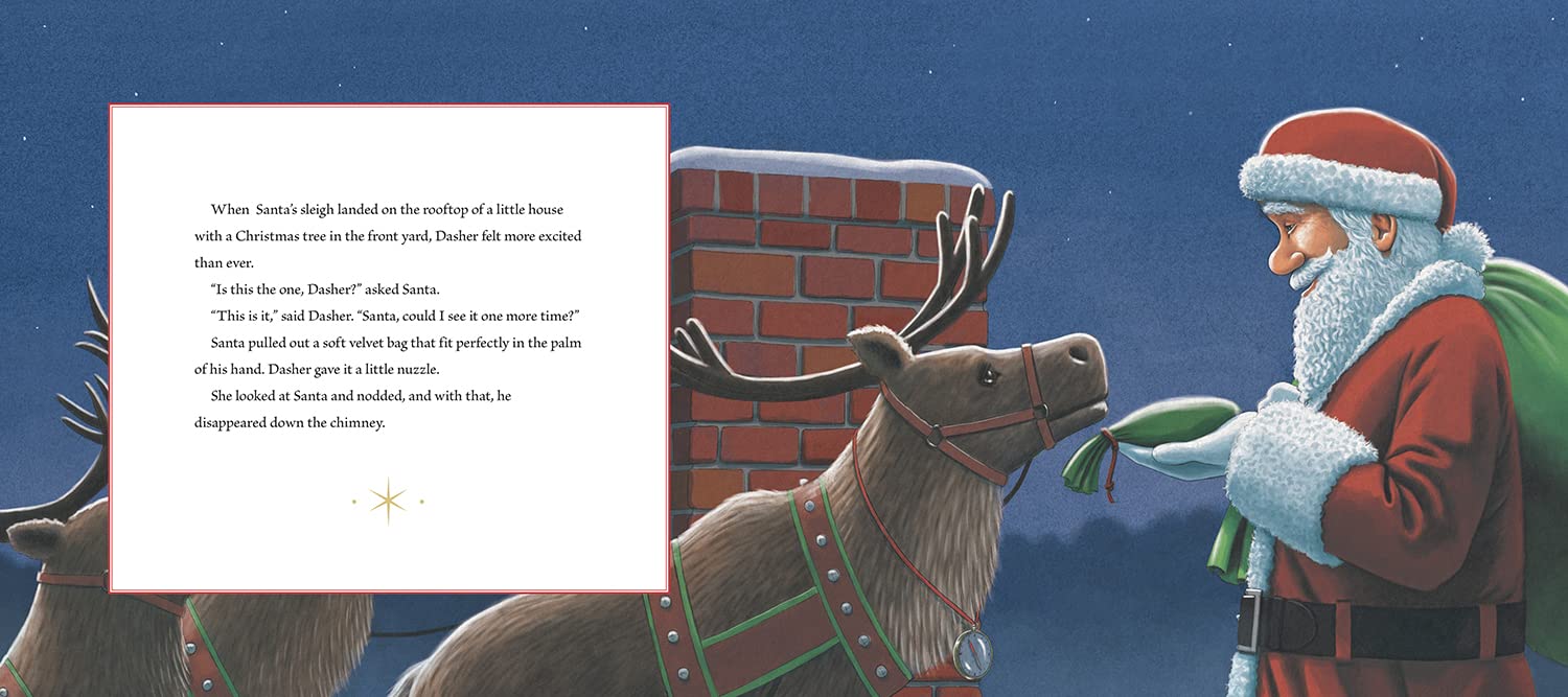 Dasher Can't Wait for Christmas - Image 4