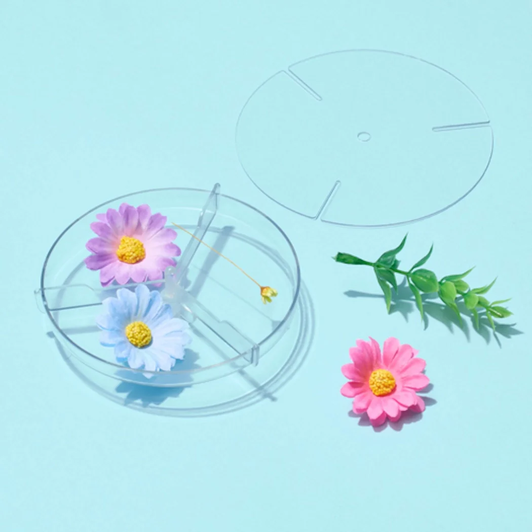 DIY Nature Kaleidoscope Kit - Image 4