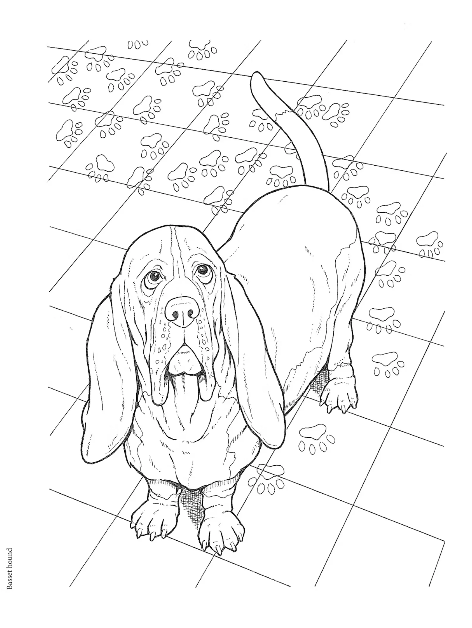 Dog Lovers Coloring Book - Image 2