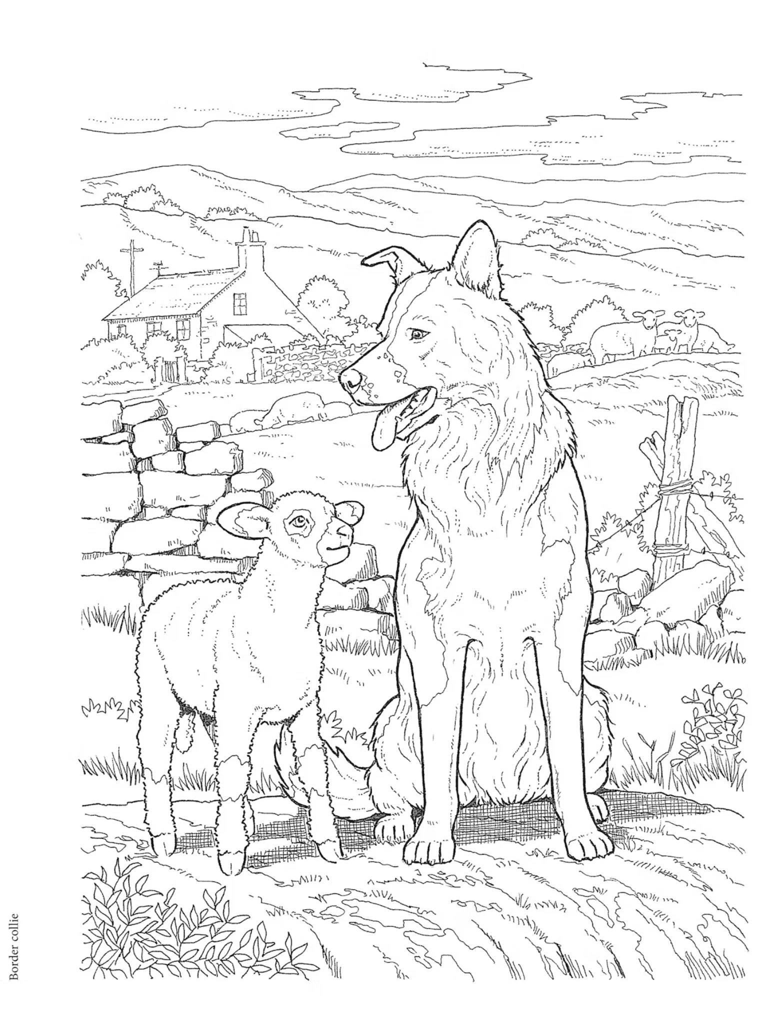 Dog Lovers Coloring Book - Image 3