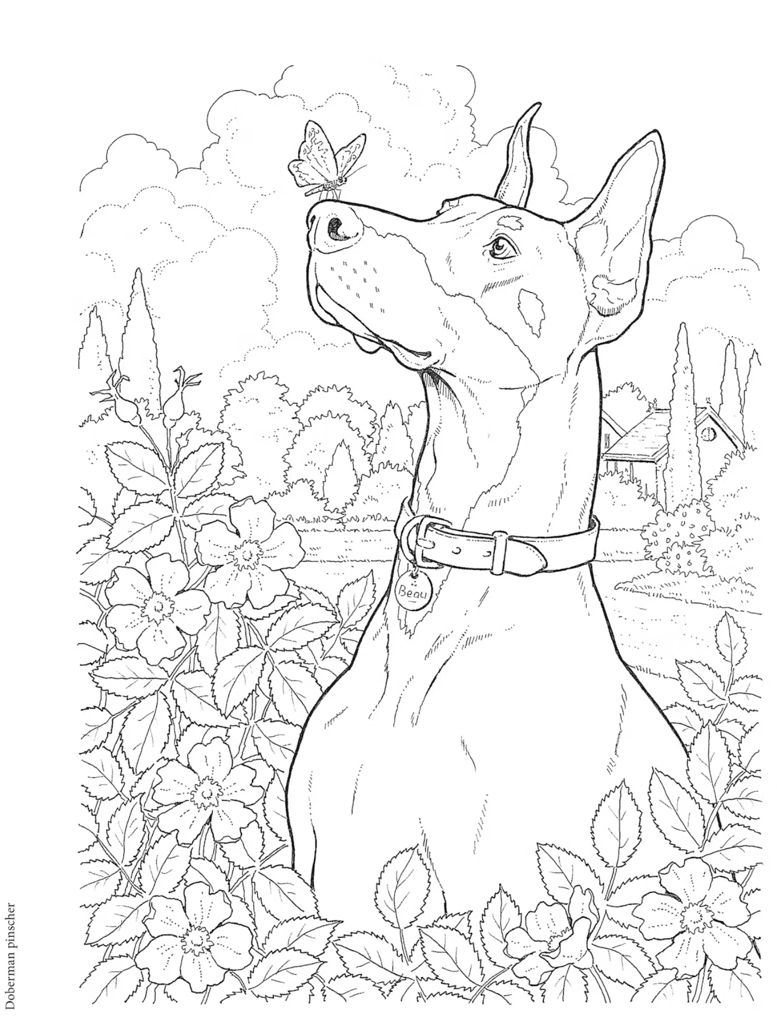 Dog Lovers Coloring Book - Image 5