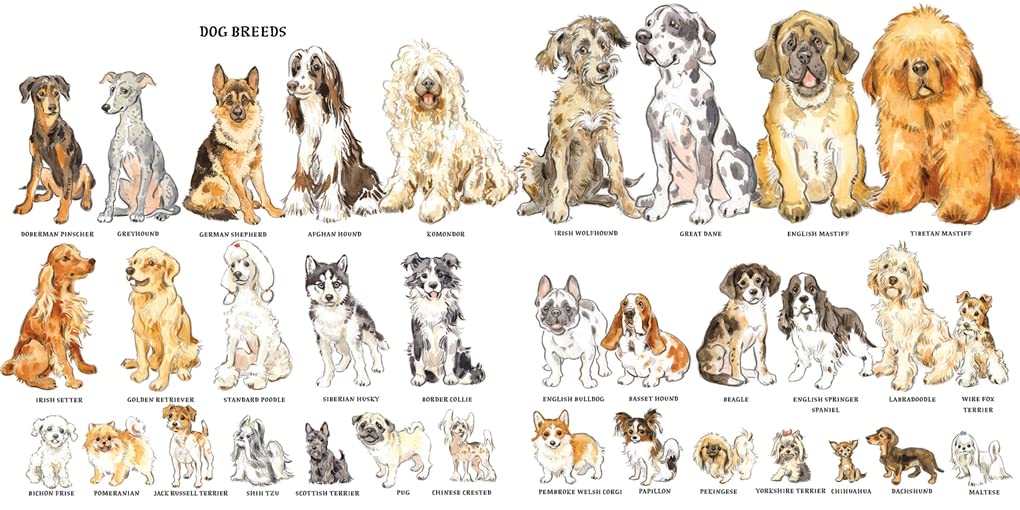 Dogs: A History of Our Best Friends - Image 4