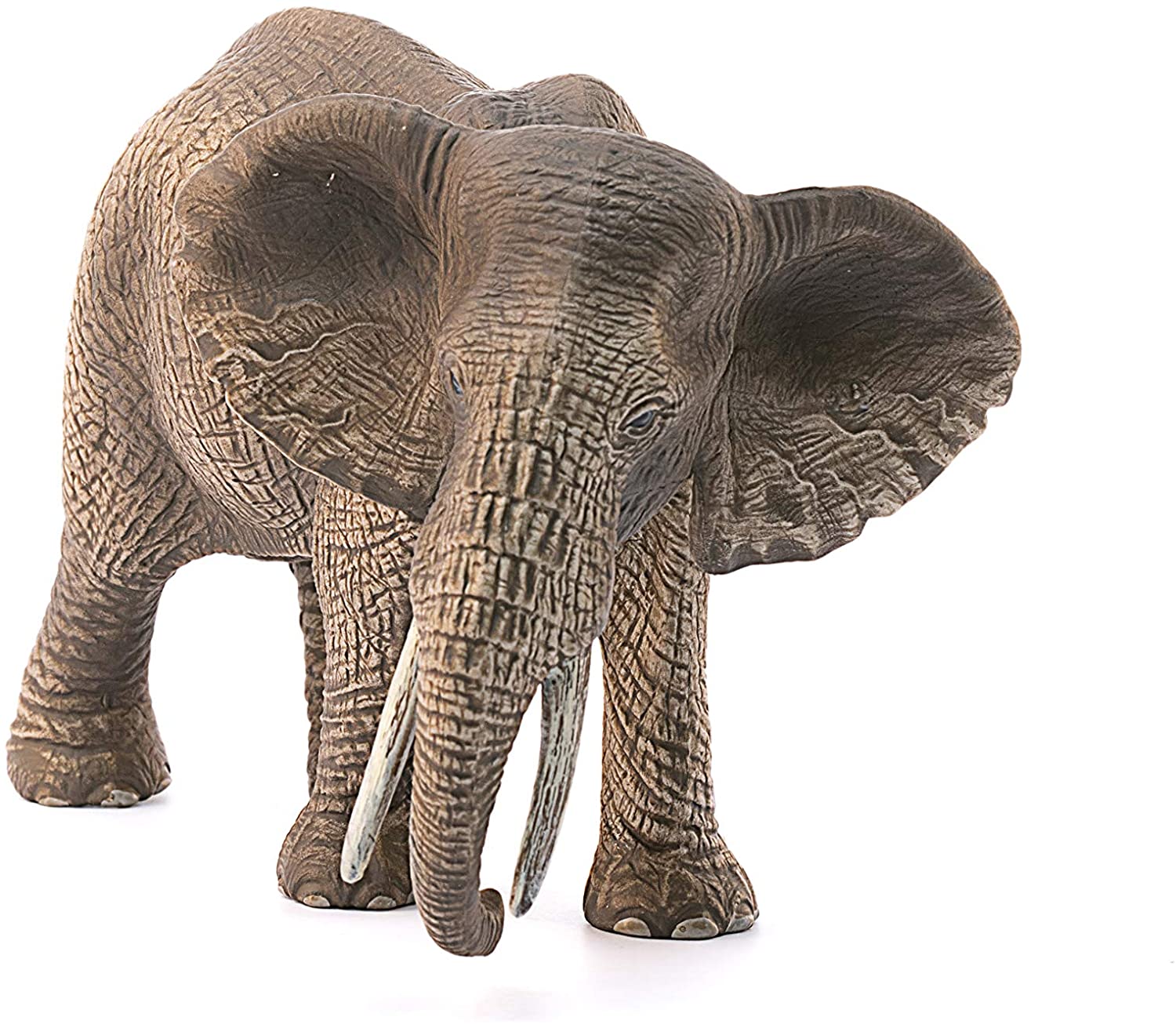 Elephant African Female - Image 3