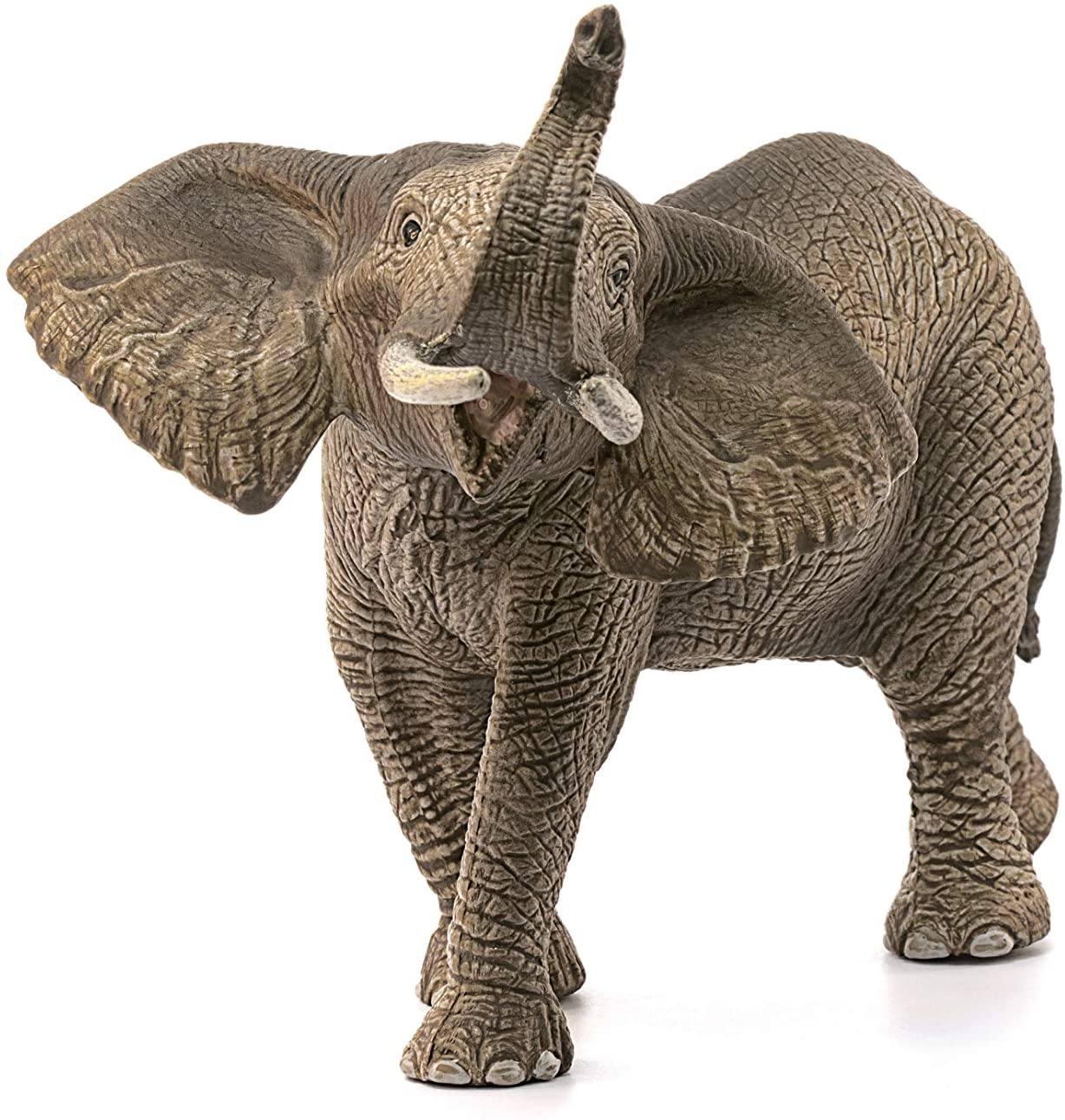 Elephant African Male - Image 2