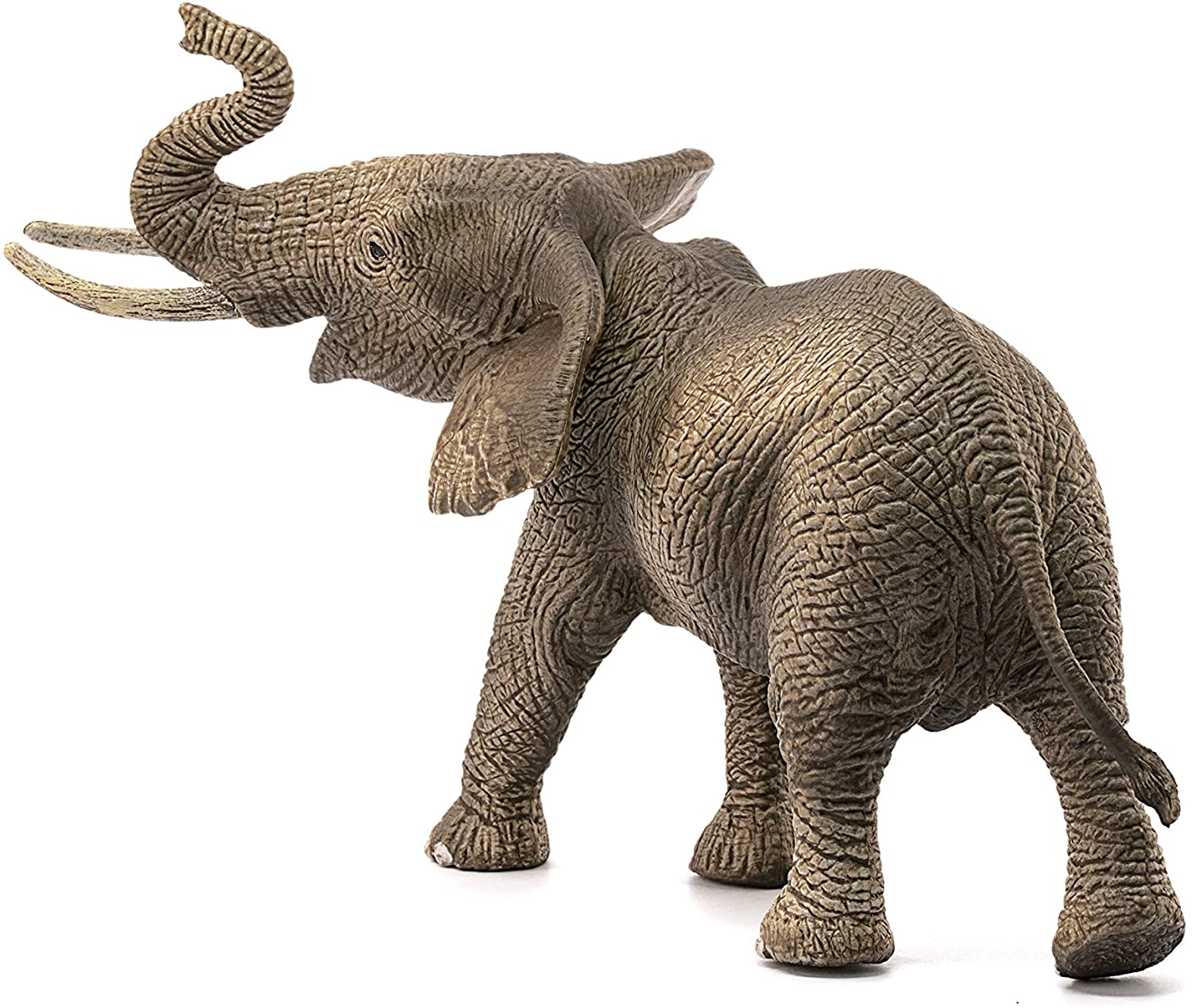 Elephant African Male - Image 3